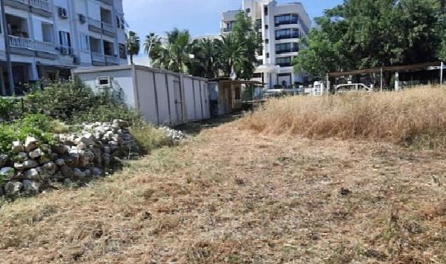 İlçe genelindeki yeşil alanlarda bakım çalışması