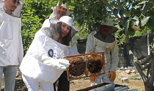 Antalya Büyükşehir kursiyerleri kovan başında arıcılık eğitimi aldı