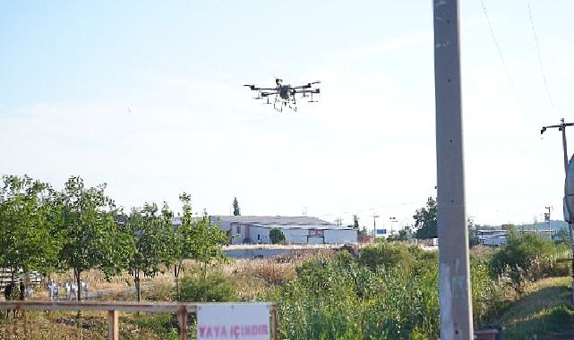 Ayvalık’ta dronların hedefinde sinekler var
