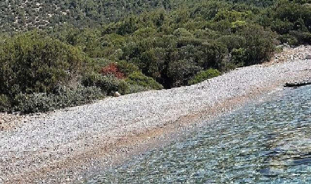 Belediyeden, ada ve koylarda temizlik