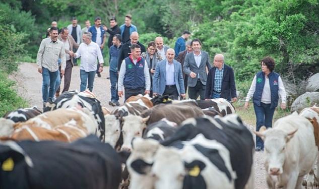 Bergama’da yayla yolculuğu başladı