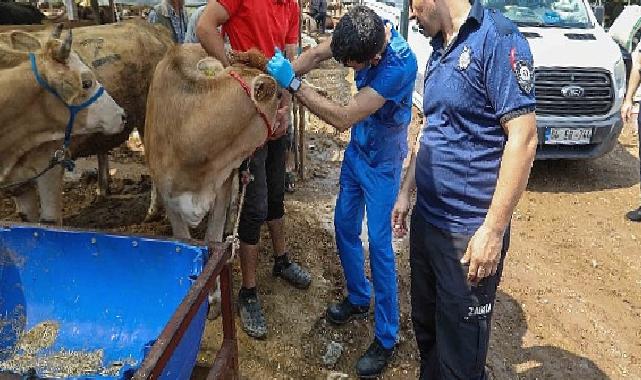 Buca Belediyesi’nde Kurban Bayramı mesaisi