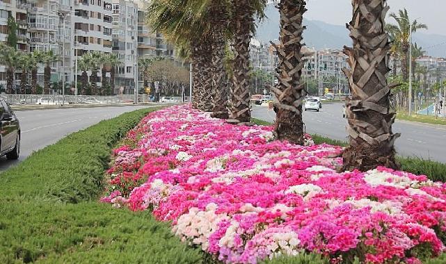 İzmir çiçek açtı