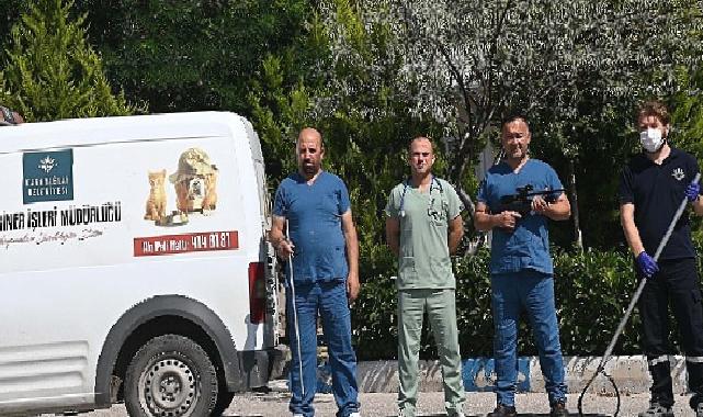 Karabağlar’da kurban yakalama timi iş başında