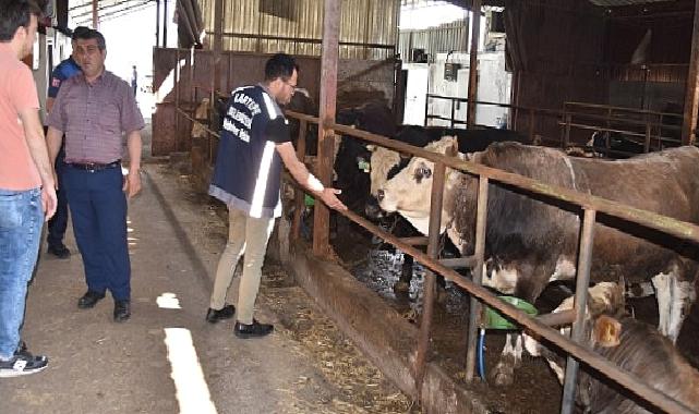 Kartepe’de kurban satışını sıkı denetim 