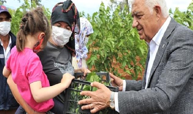 Muğla Büyükşehir İpekböcekçiliğini Destekliyor Muğla Kazanıyor