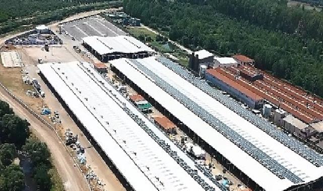 Osmangazi, Kurban Bayramı’na hazır