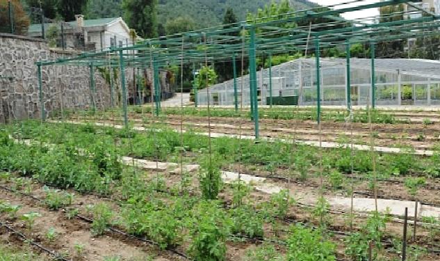 Tugay “Yerel tohumları koruyor ve toprakla buluşturuyoruz”
