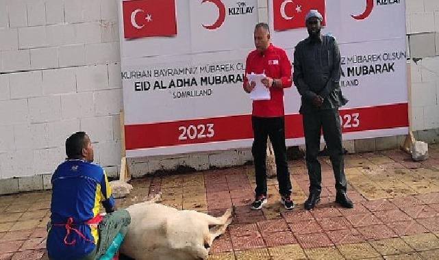 Türk Kızılay Kurban Kesimlerini Başlattı