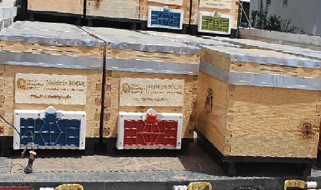 Antalya Büyükşehir’in arı kovanı destekleri sürüyor