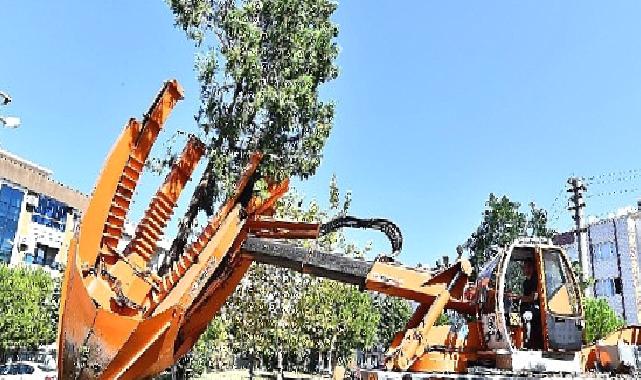 Buca Metrosu’nda istasyon inşaatları öncesinde ağaçlar geçici olarak taşınıyor