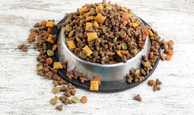 Can dostların mamaları Türkiye’de üretiliyor Türkiye, kedi-köpek maması ihracatında 100 milyon dolar hedef koydu