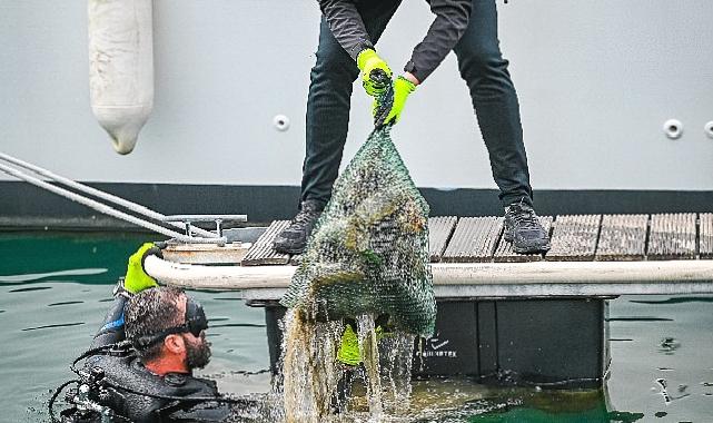 D-Marin tüm marinalarında Çevre Farkındalık Günlerini kutladı