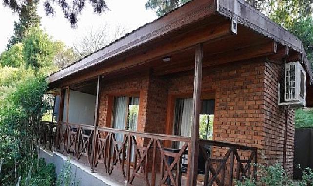 İBB, Orman Bakanlığı’ndan satın aldı