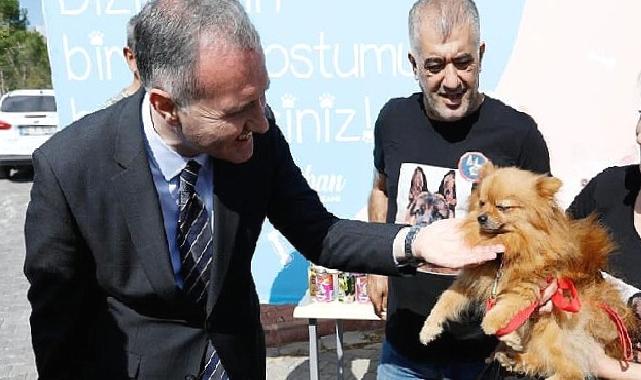 İnegöl Belediyesi 6 Ayda 2.700 Hayvana Şifa Oldu