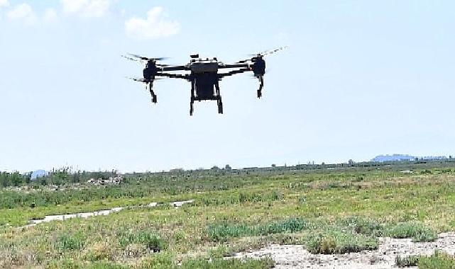 İzmir’de sivrisinek ile dronlu mücadele