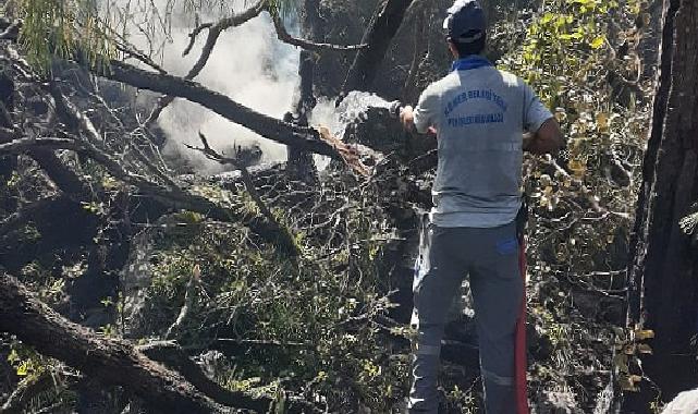 Kemer’deki orman yangınına müdahale sürüyor