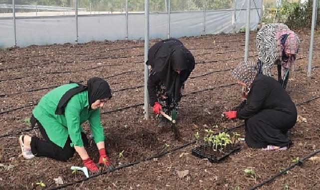 Kocaeli Büyükşehir’den kadın girişimcilere tarımsal destek