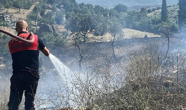 Koçarlı’daki yangın kontrol altına alındı