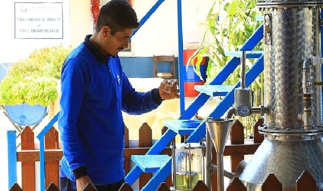 Muğla Büyükşehir Distilasyon Tesisi Muğla’nın Aromatik Bitkileri’ni İşliyor