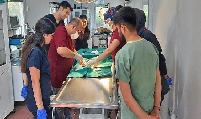 Osmangazi Belediyesi’nden Veteriner Fakültesi öğrencilerine uygulamalı eğitim