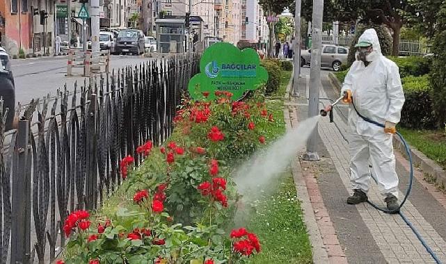 Bağcılar Belediyesi Bitlerle Mücadelesini Sürdürüyor