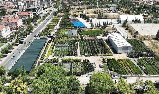 Başkan Altay Konya Ağaç A.Ş Satış Merkezi’nde İncelemelerde Bulundu