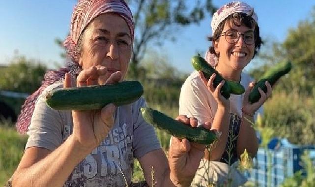 Buğday Derneği; Soframıza gelen zehirlerden 6’sı daha yasaklandı