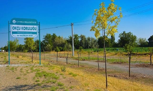 Çumra’nın Yeşil Alanları Nefes Oldu