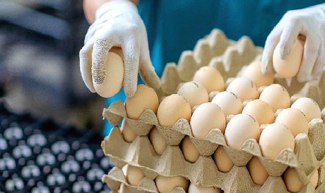 EİB’den Temmuz ayında 1 milyar 462 milyon dolarlık ihracat