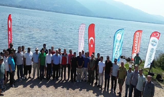 Eşme’de Sapanca gölüne 100 bin sazan salındı 