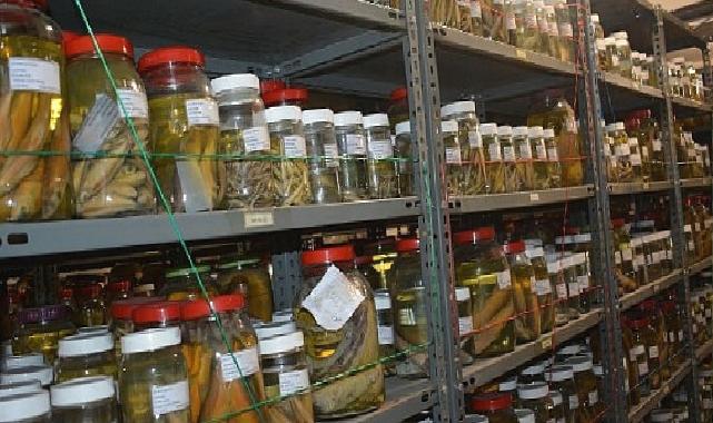 EÜ Su Ürünleri Fakültesi Bilimsel Materyal Koleksiyonu 4 binden fazla türü bünyesinde barındırıyor
