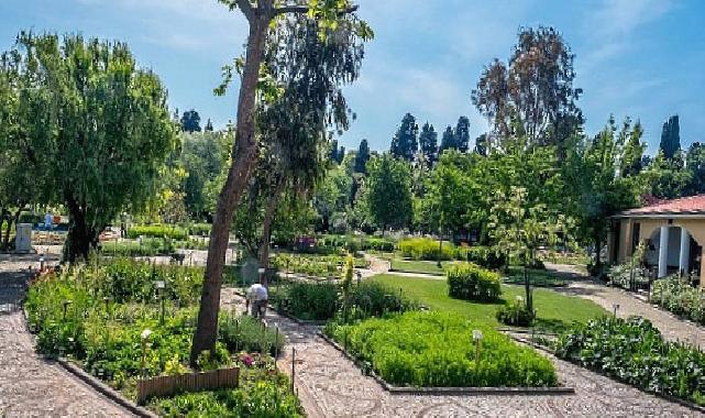 İstanbul’un Ortasında Şifa Dolu Bir Bahçe…