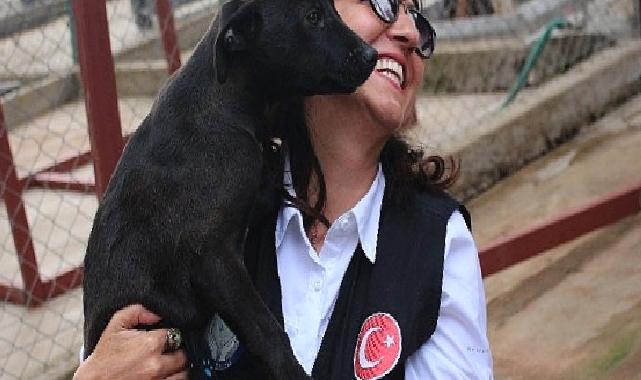 Karşıyaka Belediyesi, can dostlara huzurlu bir hayat sunuyor