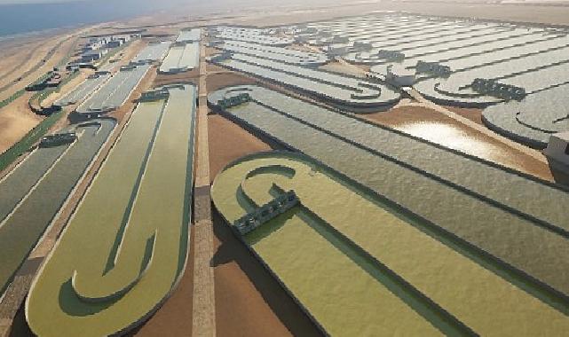 Schneider Electric, Karbon Yakalama Endüstrisine EcoStruxure Automation Expert ile Güç Katıyor