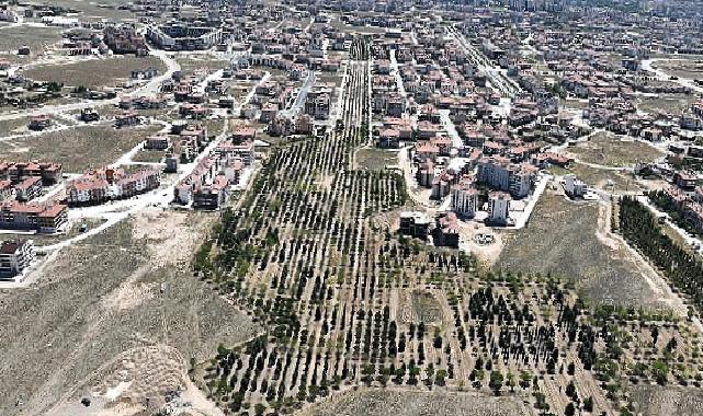 Selçuklu yeni park çalışmalarıyla geleceğe hazırlanıyor
