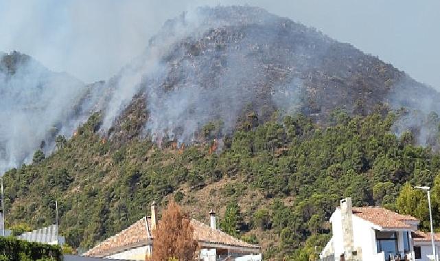 Yazlıkçıların Yüreği Ağzında; Orman Yangınları Konut Sigortasına Talebi Artırdı!