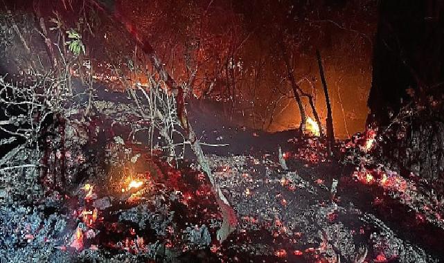 Başkan Kılıç ve BUCAKUT Yangın Bölgesinde