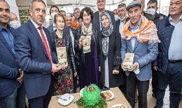 Beydağ’dan Yükselen Kestane Unu Çölyak Hastalarina Derman Oluyor 