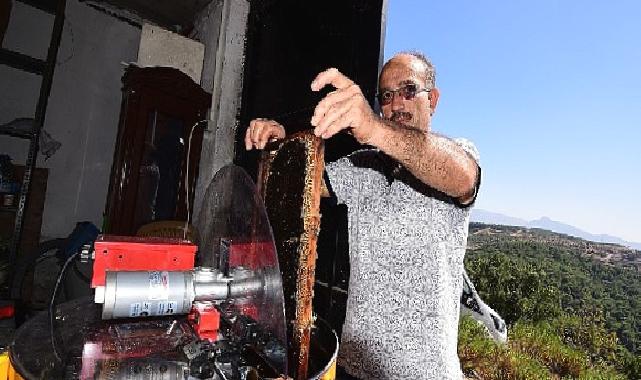 Bornovalı Arıcılarda Hasat Mutluluğu