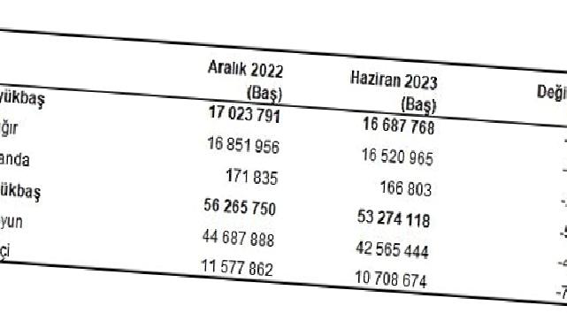 Büyükbaş hayvan sayısı 2023 yılı Haziran ayında 16 milyon 688 bin baş oldu