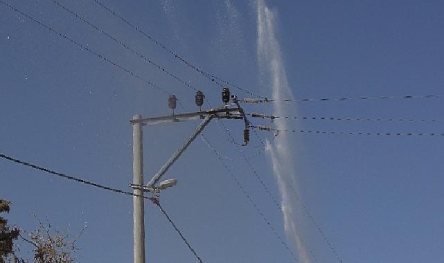 Elektrik Hatlarında Temizlik Zamanı