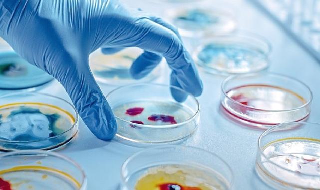 Enfeksiyonun En Ağır Hali: Sepsis