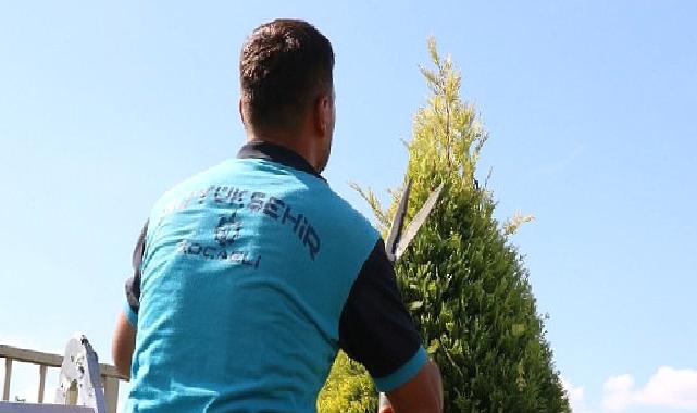 Park ve bahçelerde sonbahar budaması