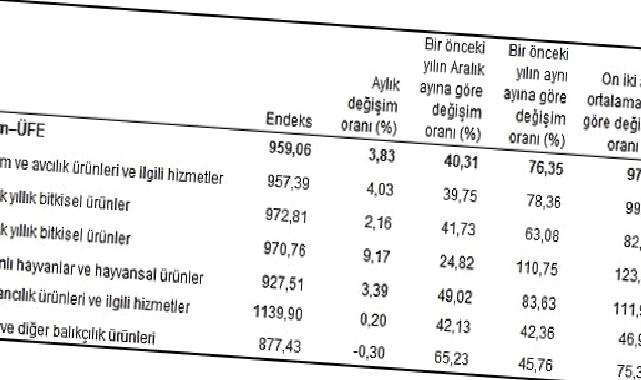 Tarım ürünleri üretici fiyat endeksi (Tarım-ÜFE) yıllık yüzde 76,35, aylık yüzde 3,83 arttı