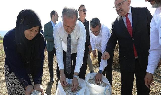Tarladan Sofraya; Cerrah Kuru Fasulyesi
