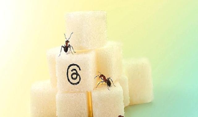 Threads’in Keyfini Çıkarırken Yüksek Düzeyde Gizlilik ve Güvenlik Sağlayın