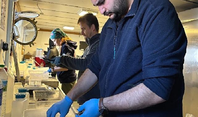 Biyoçeşitlilikte Ekim Ayı Araştırması Tamam