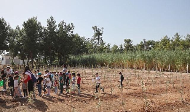 Büyükşehir Belediyesi 100. Yıl Hatıra Ormanı oluşturdu