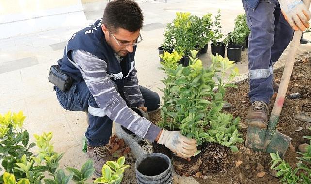 Büyükşehir’den Ulaşlı Camii’ne estetik meydan